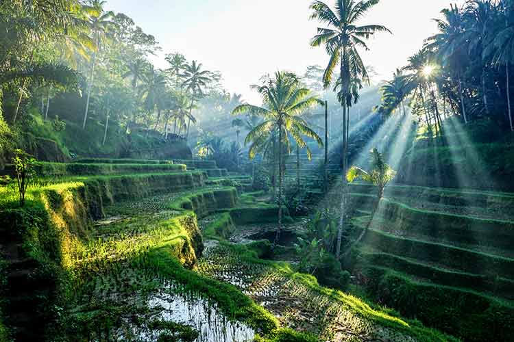 Leukste bestemmingen nazomervakantie: Bali