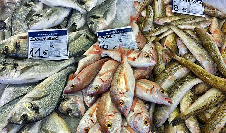markten algarve vis
