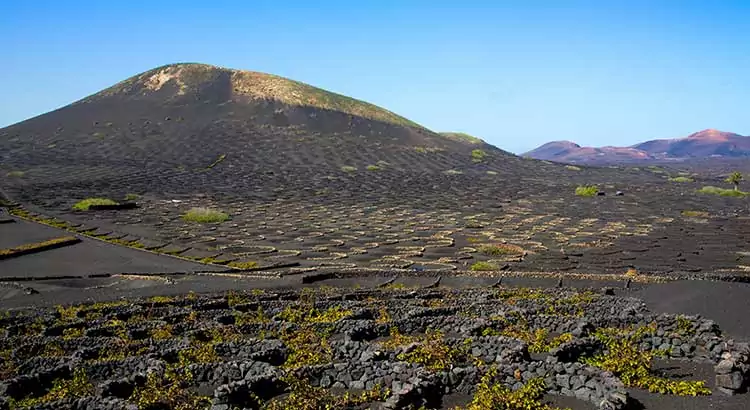 La Geria Lanzarote, wijn proeven