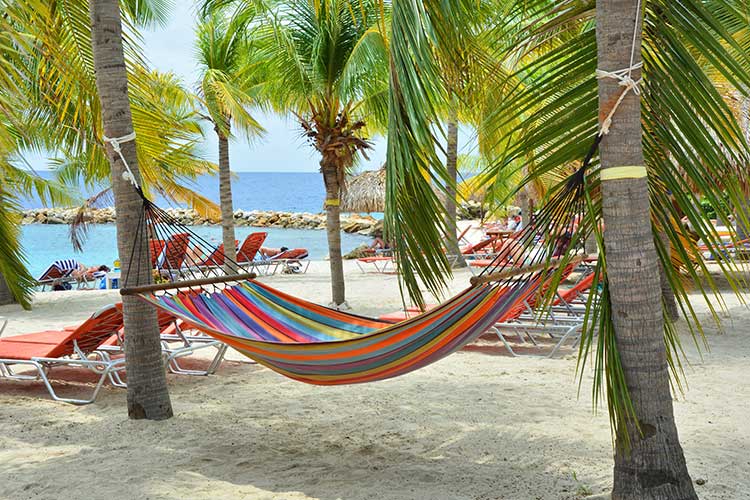 Zon in december: de beste vakantiebestemmingen - dé VakantieDiscounter