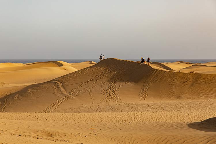 Wat te doen Gran Canaria; Dunas de Maspalomas