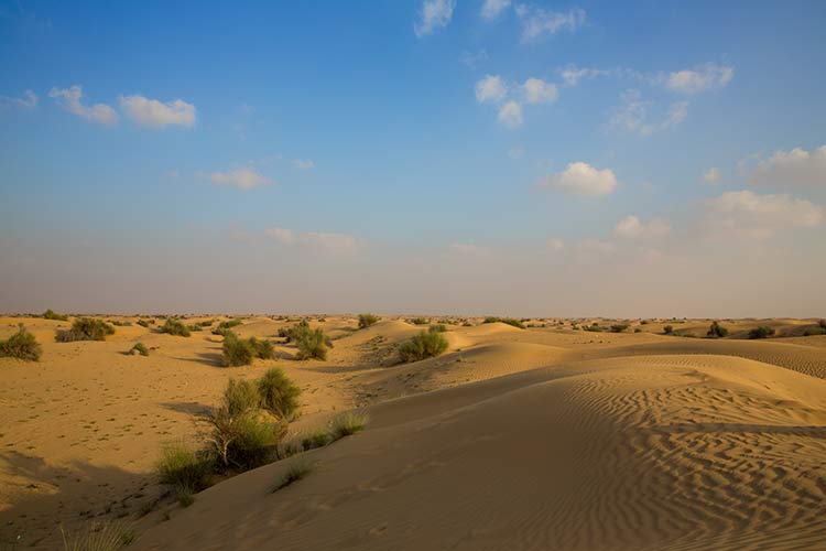 Jeepsafari in Dubai woestijn