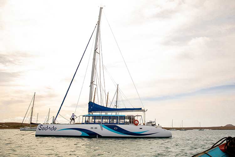Doen op Sal: Catamaran