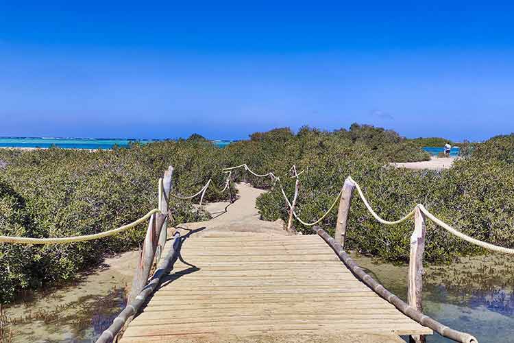 National Park Wadi El Gemal Egypte; wandelpad