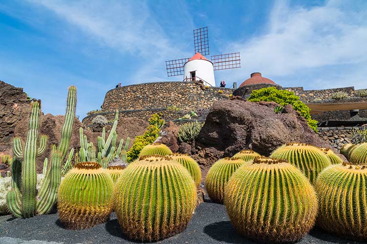 Overwinteren Canarische Eilanden vakantie Lanzarote
