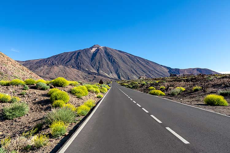 Overwinteren Canarische Eilanden vakantie Tenerife