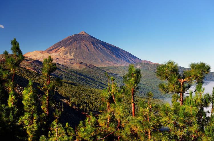 Tenerife of Gran Canaria: vulkaan El Teide op Tenerife