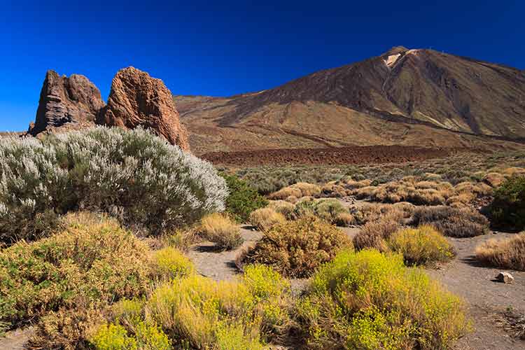 Redenen Spanje; natuur