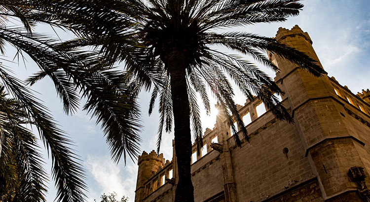 Wat doen in Palma de Mallorca