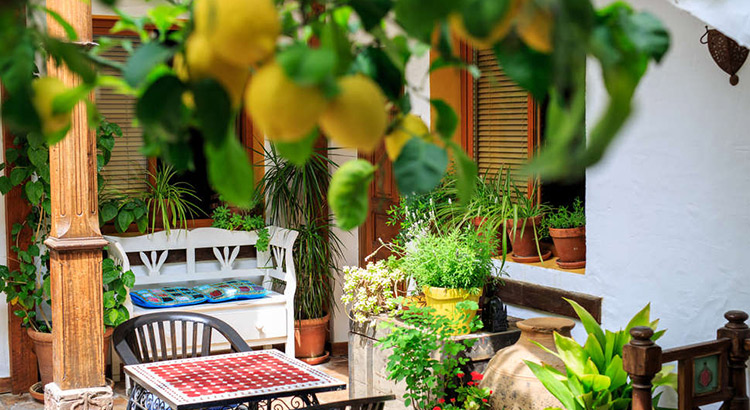 Boutique hotels Spanje
