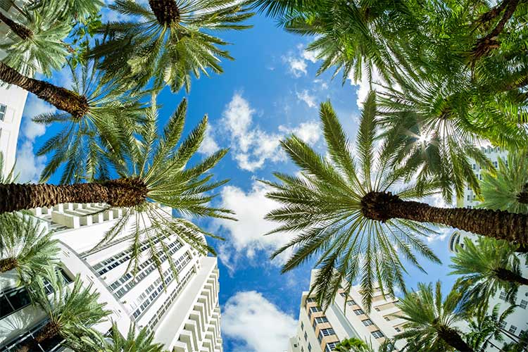 Vakantie maart zon bestemmingen: Miami