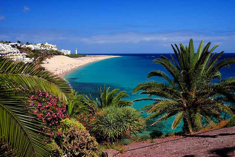 Last minute nazomeren vakantie: Fuerteventura