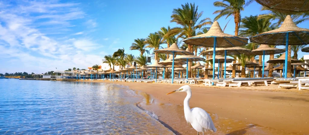 Winterzon Egypte