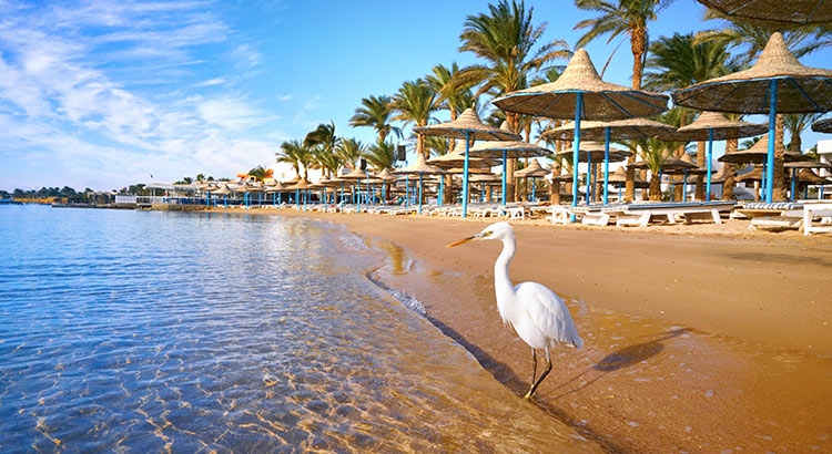 Winterzon in Egypte; 7 redenen om die vakantie te boeken