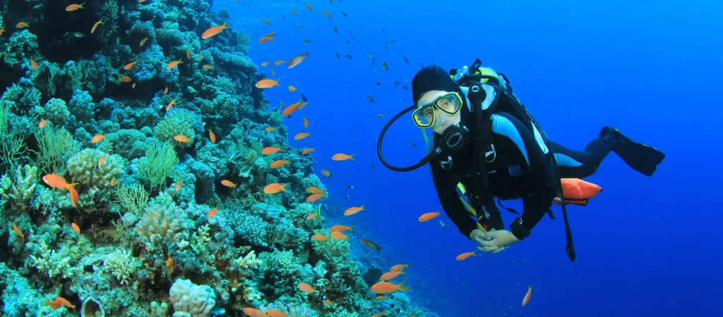 Duiken Hurghada waar