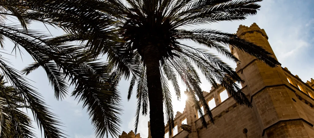 Wat te doen Palma de Mallorca