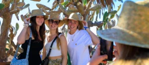 De leukste insider-tips voor Tenerife