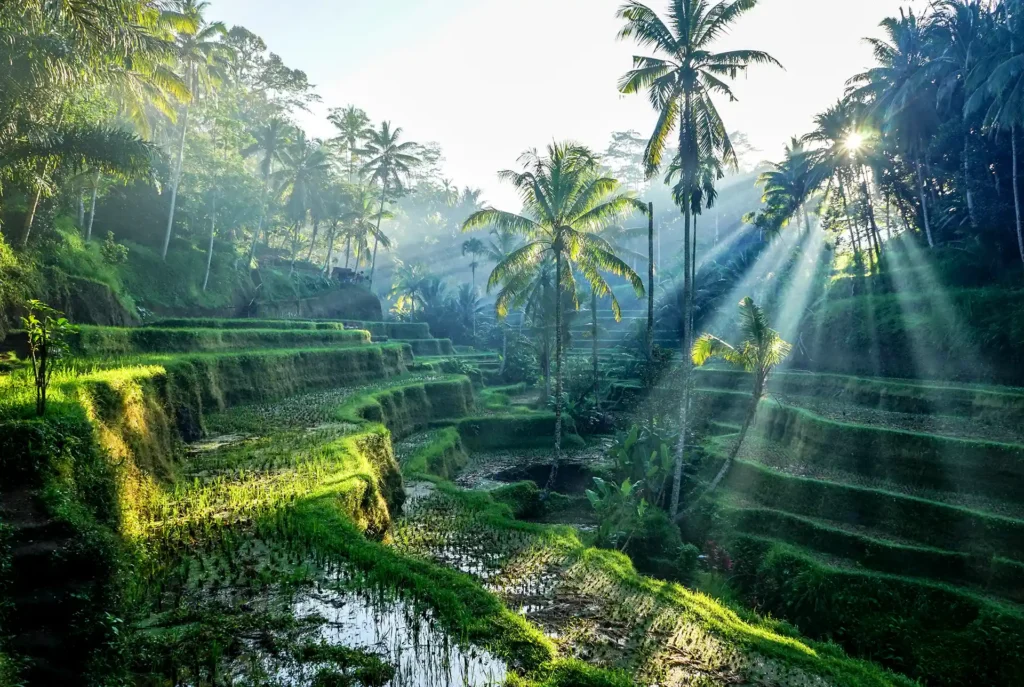 Leukste bestemmingen nazomervakantie: Bali