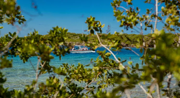 Vakantie ABC eilanden